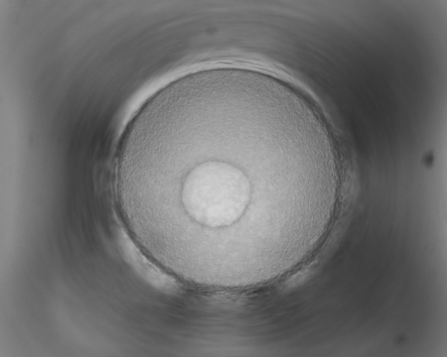 X0000114591514200911301347