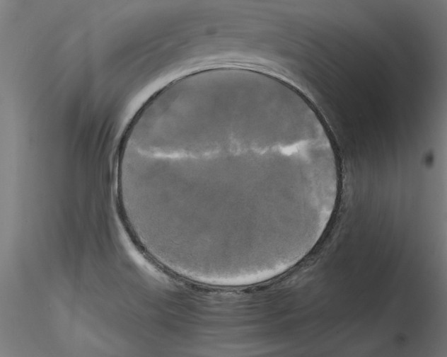 X0000114591515200911301347