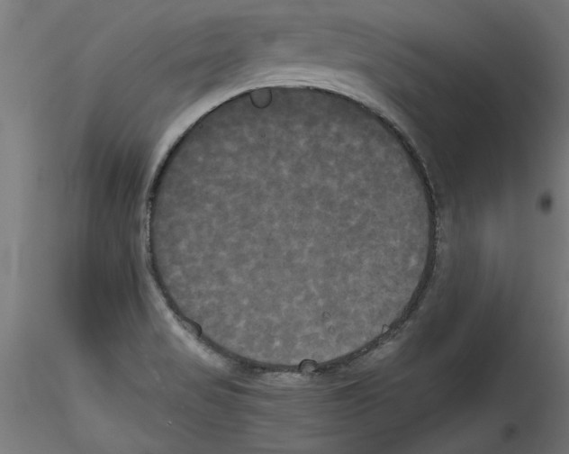 X0000114591517200911301347