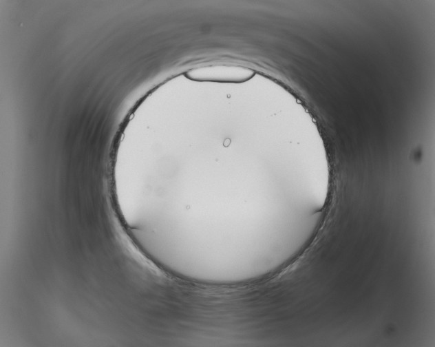X0000114591518200911301347