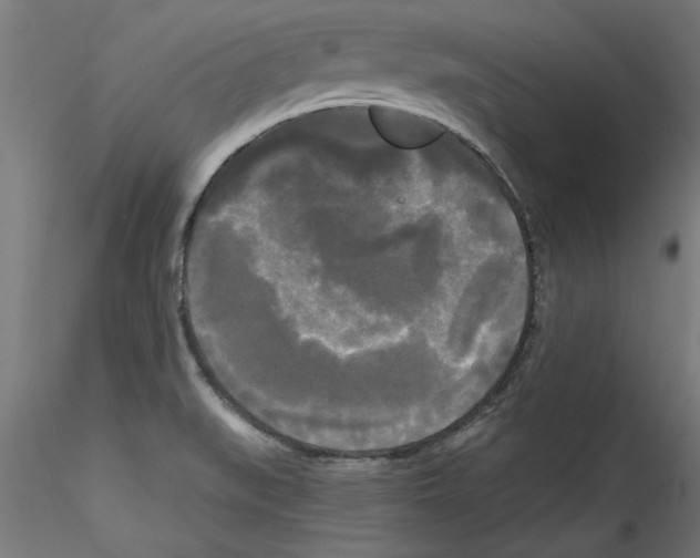 X0000114591519200911301347