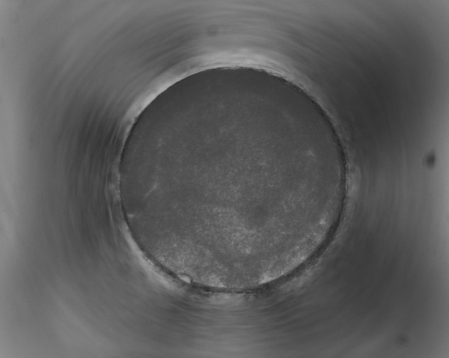 X0000114591521200911301347