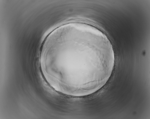 X0000114591522200911301347