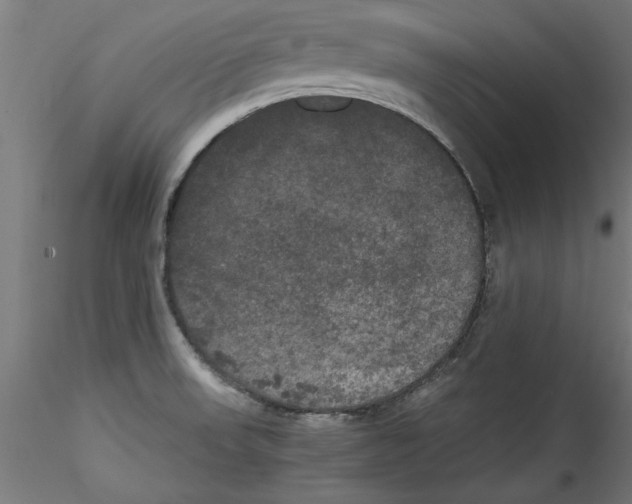 X0000114591523200911301347