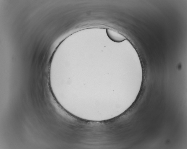 X0000114591526200911301347