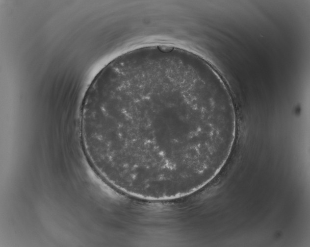 X0000114591527200911301347