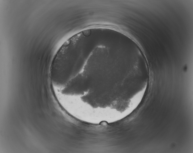 X0000114591533200911301347