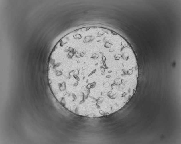 X0000114591534200911301347