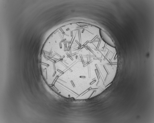 X0000114591535200911301347