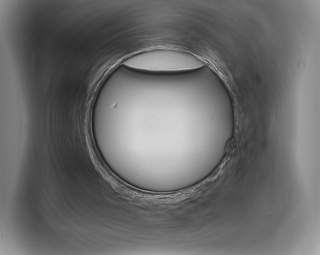 X0000114600001200910191103