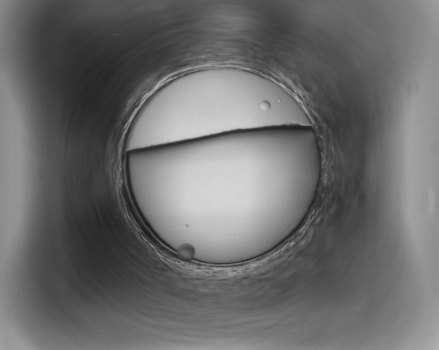 X0000114600002200910191103