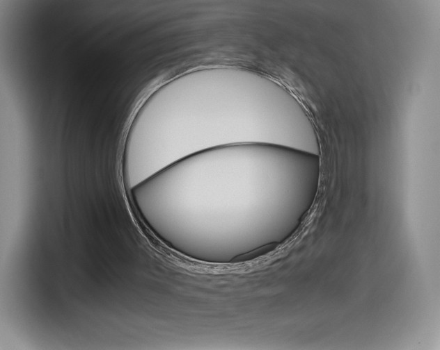 X0000114600003200910191103