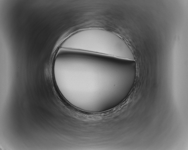 X0000114600004200910191103