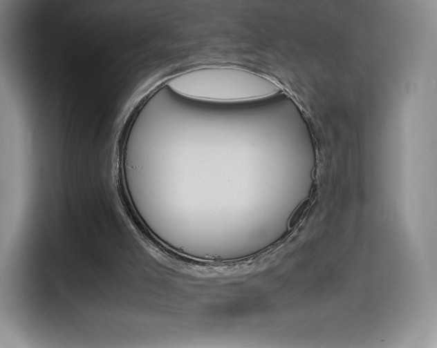 X0000114600005200910191103