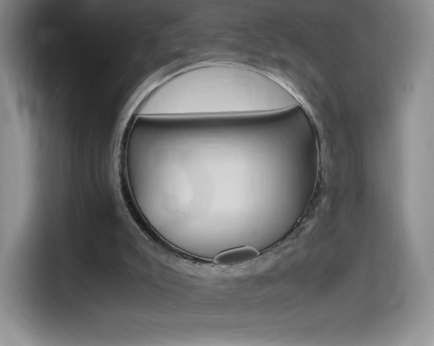 X0000114600007200910191103