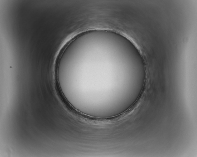 X0000114600008200910191103