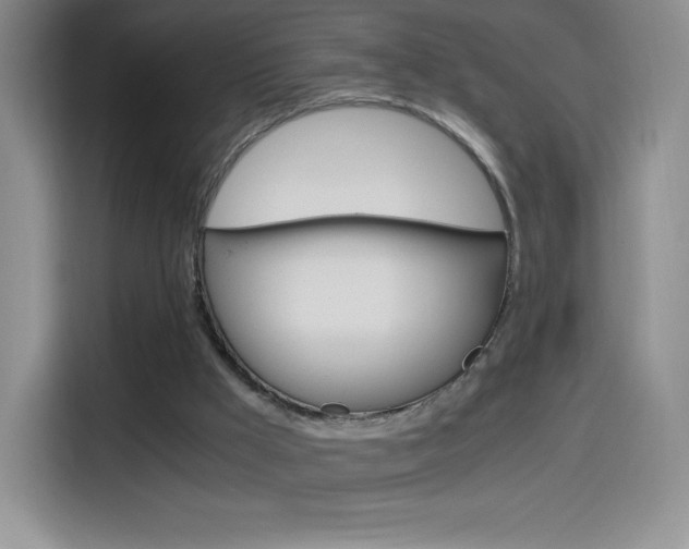 X0000114600009200910191103