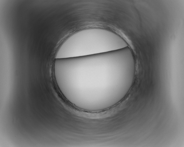 X0000114600010200910191103