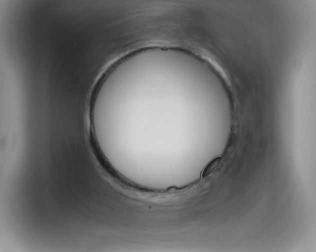 X0000114600011200910191103