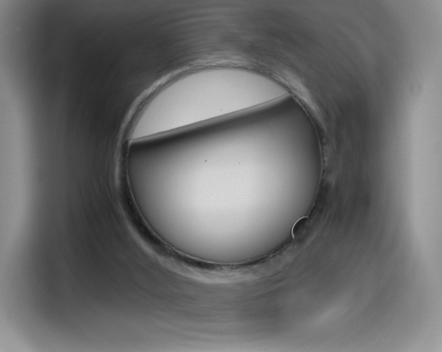 X0000114600012200910191103