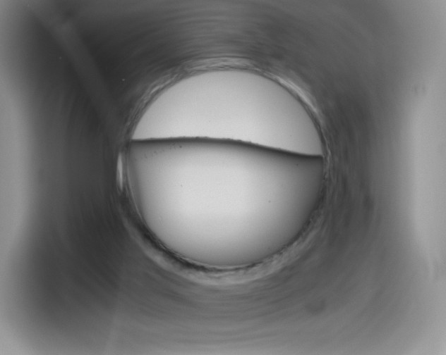 X0000114600013200910191103