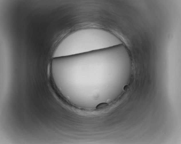 X0000114600014200910191103