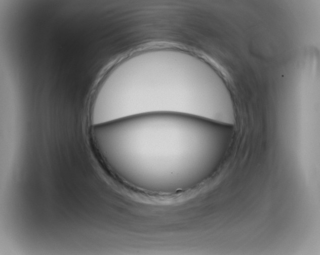 X0000114600015200910191103