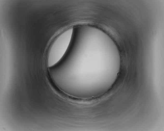 X0000114600016200910191103