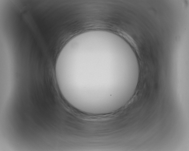 X0000114600017200910191103