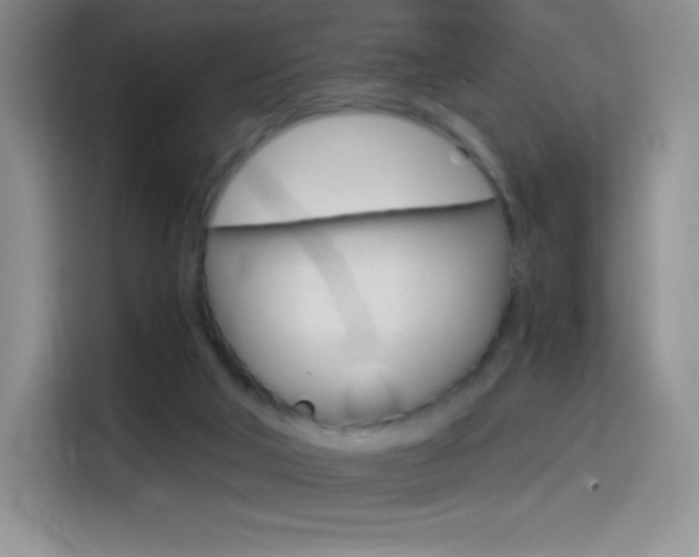 X0000114600018200910191103