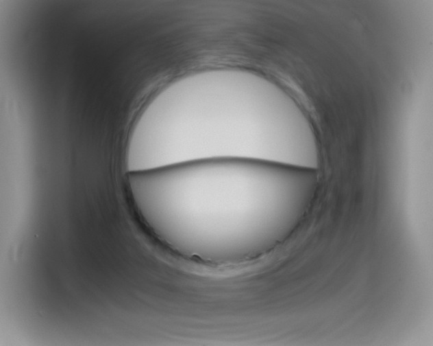 X0000114600019200910191103