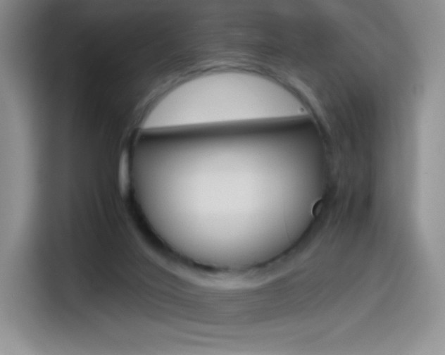 X0000114600020200910191103