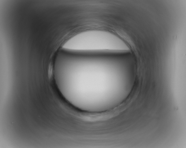 X0000114600021200910191103