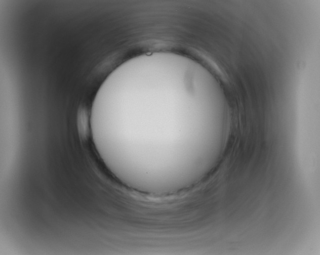 X0000114600022200910191103