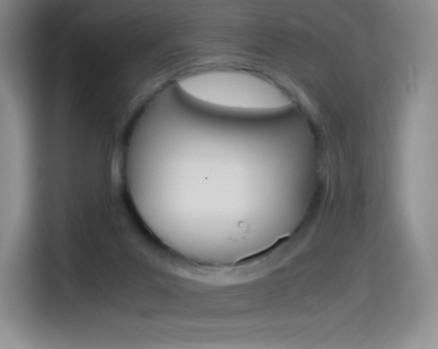 X0000114600023200910191103