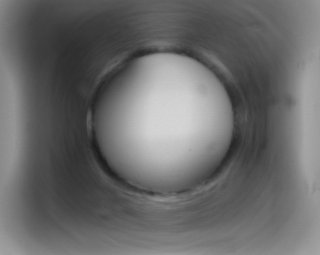 X0000114600024200910191103