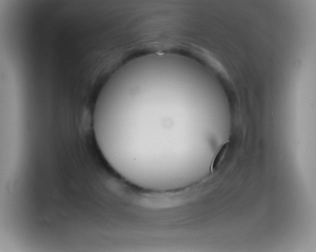 X0000114600025200910191103