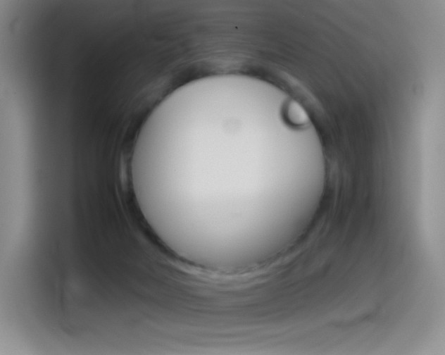 X0000114600026200910191103