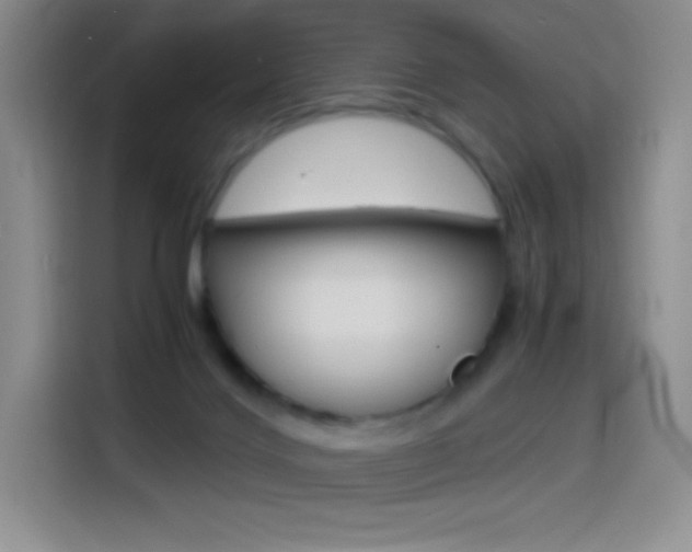 X0000114600028200910191103