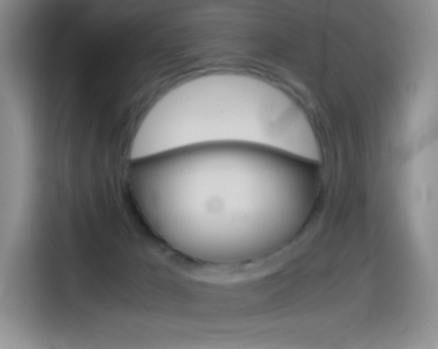 X0000114600029200910191103