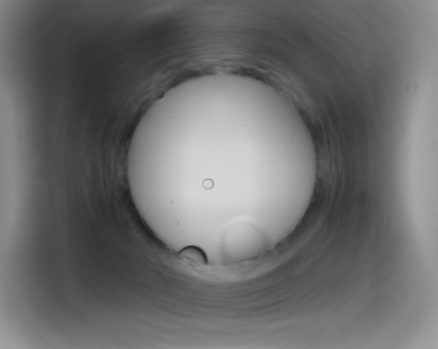 X0000114600030200910191103