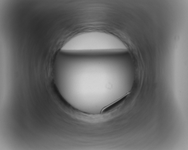 X0000114600031200910191103