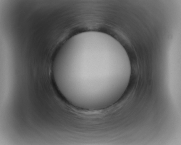 X0000114600032200910191103