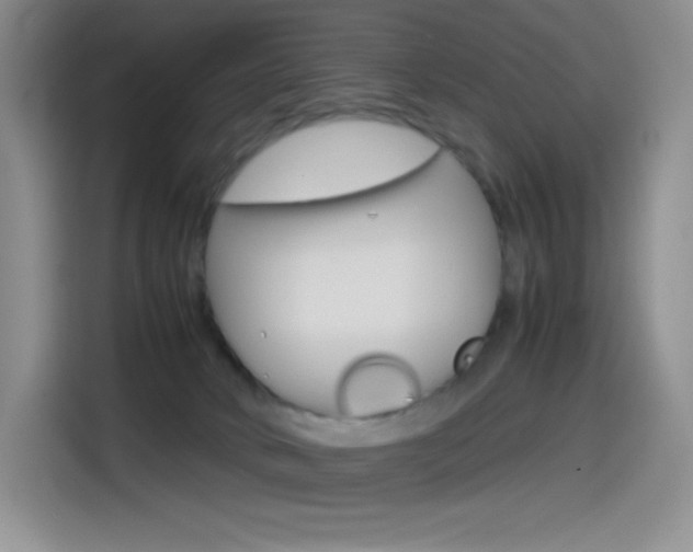 X0000114600034200910191103