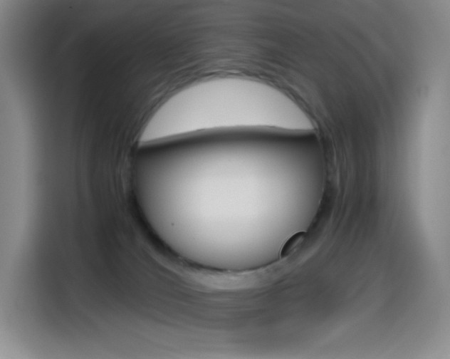 X0000114600036200910191103