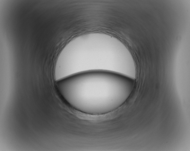 X0000114600039200910191103