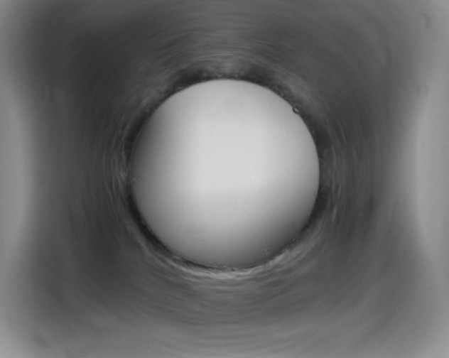 X0000114600040200910191103