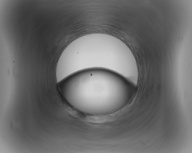 X0000114600041200910191103