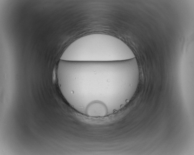 X0000114600042200910191103