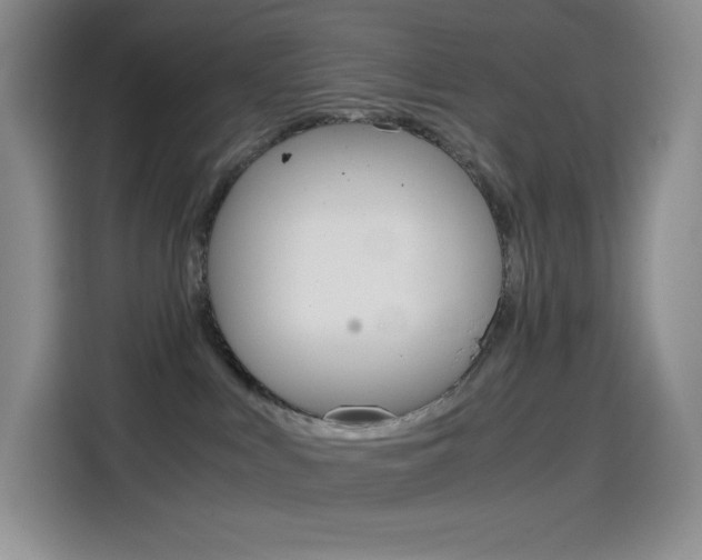 X0000114600043200910191103